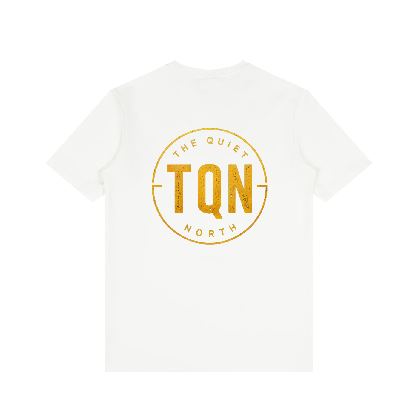 Men's Solid V-Neck T-Shirt