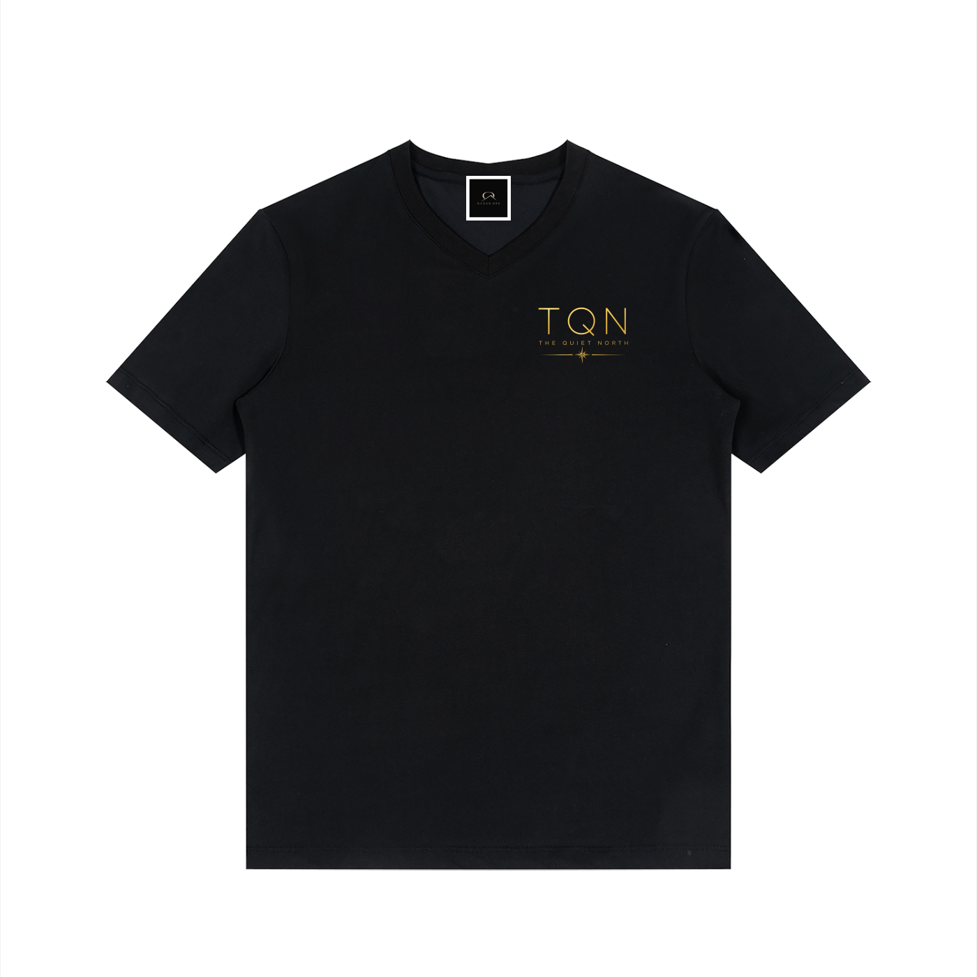 Men's Solid V-Neck T-Shirt