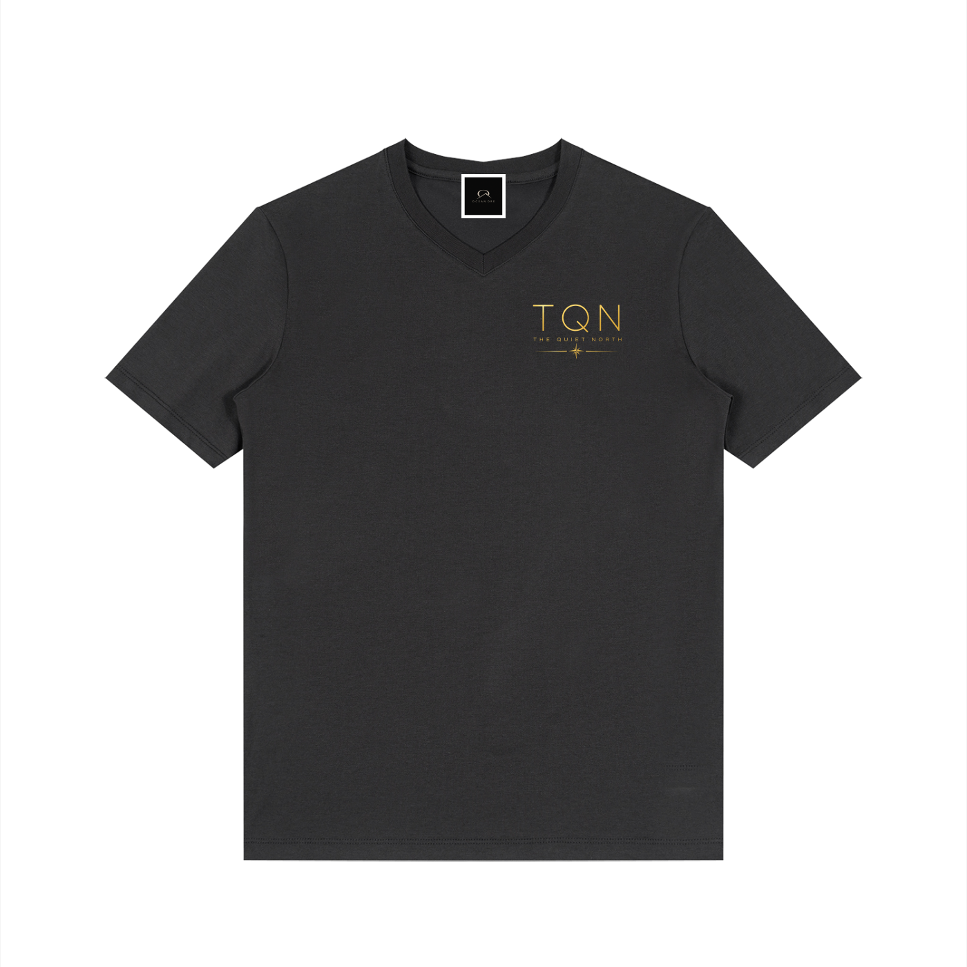 Men's Solid V-Neck T-Shirt