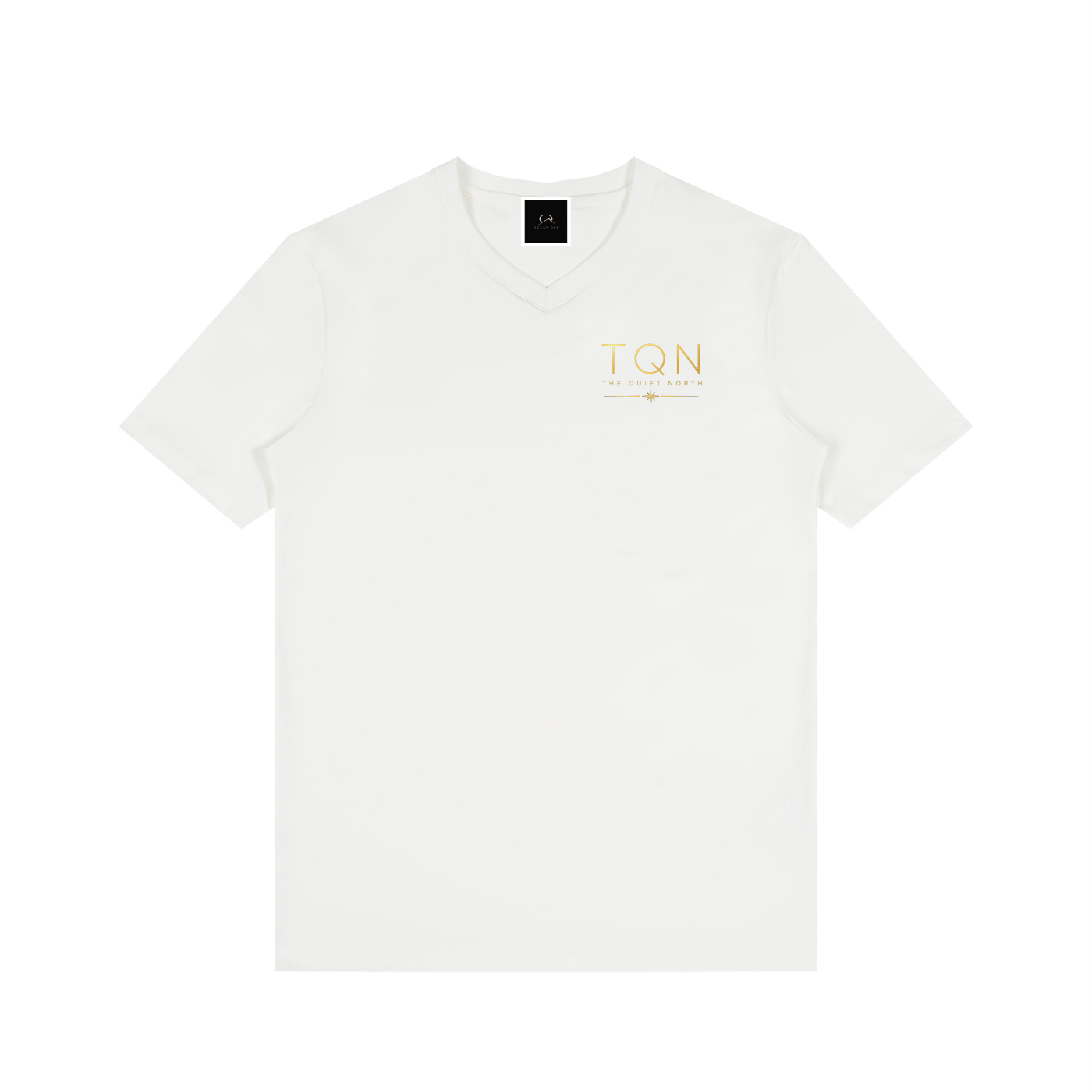 Men's Solid V-Neck T-Shirt